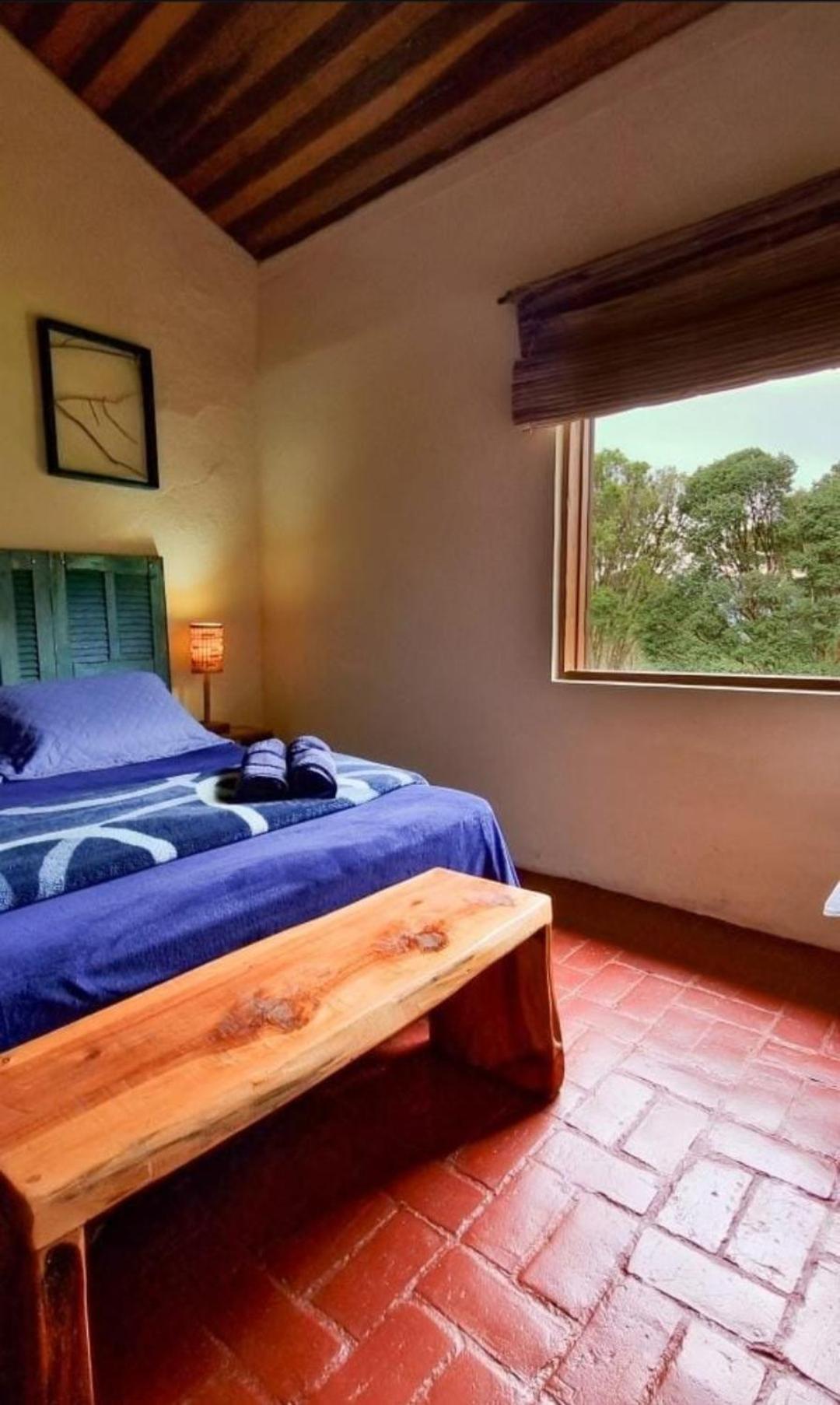 Homestay Hospedaria Vida Na Roca
